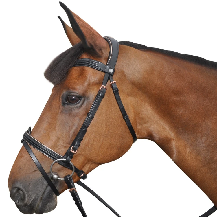 Bridon Canter Rose Gold