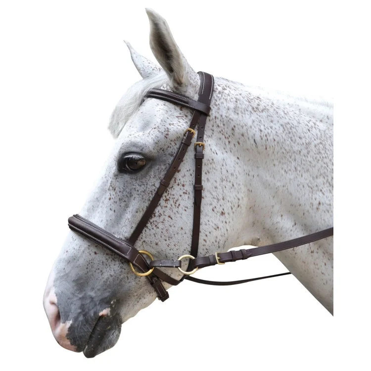 Bridon Chetak Bitless