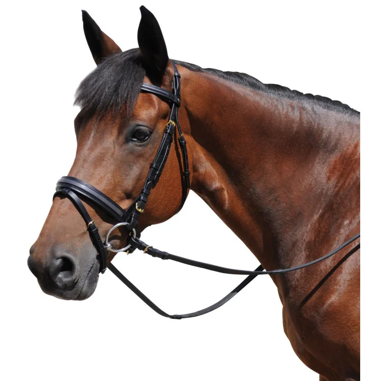 Bridon Chetak bombé carré bicolore