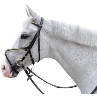 Bridon Chetak Clencher Muserolle Croisée