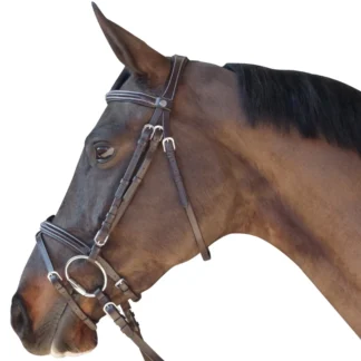 Bridon Canter Surpiqué Combiné