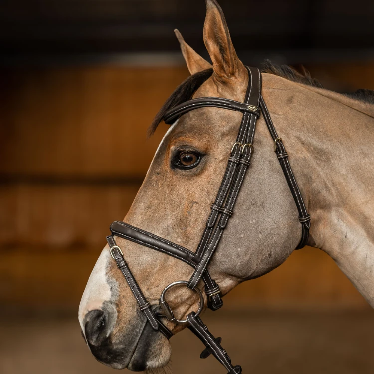 Bridon Combiné HFI Flex