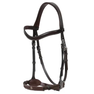 Bridon Dy'on Bitless Working