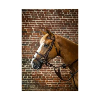 Bridon Dy'on Double Muserolle D Collection