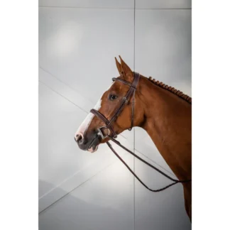 Bridon Dy'on Hunter US