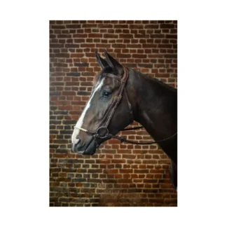 Bridon Dy'on Muserolle Allemande Corde D Collection