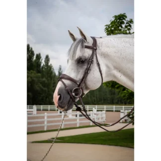 Bridon Dy'on Muserolle Combinée Anatomique Hunter