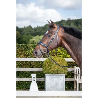 Bridon Dy'on Muserolle Combinée Large Mat NEC Dressage