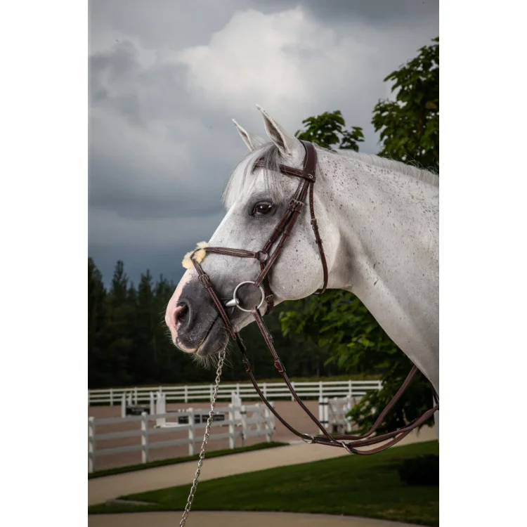 Bridon Dy'on Muserolle Croisée Hunter