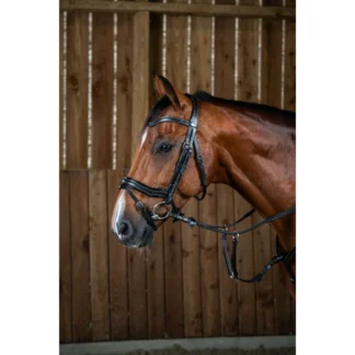 Bridon Dy'on Working Fit