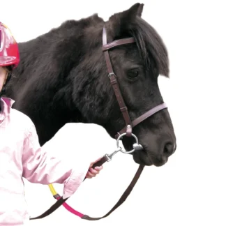 Bridon Canter Educatif