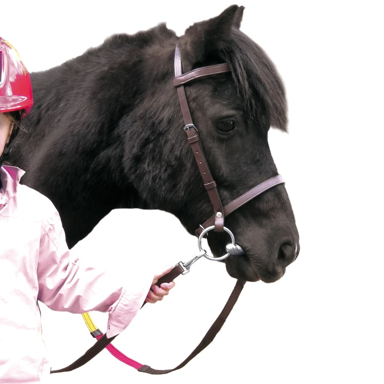 Bridon Canter Educatif