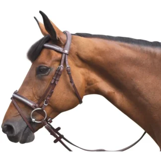 Bridon Flags & Cup Kitsi