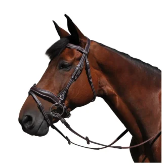 Bridon Flags & Cup Copenhague