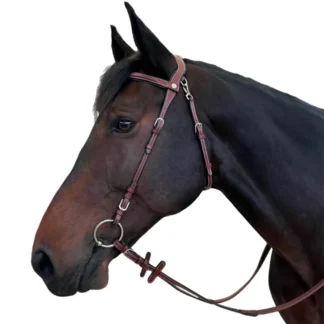 Bridon Flags & Cup Freedom