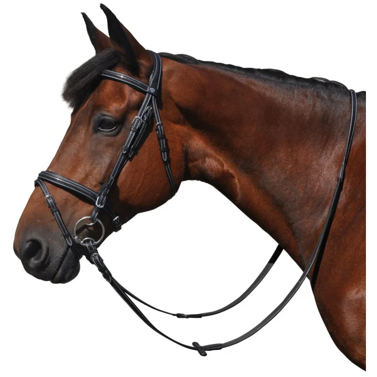 Bridon Flags & Cup Helsinki Combiné