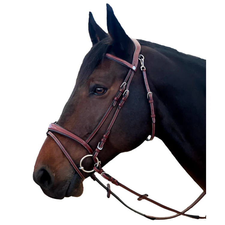 Bridon Flags & Cup New York