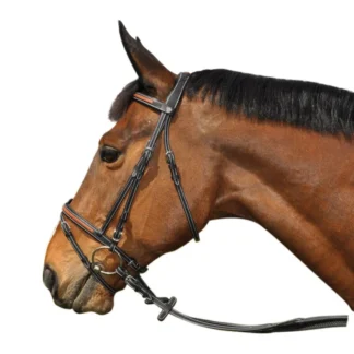 Bridon Flags & Cup Oslo