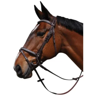 Bridon Flags & Cup Zurich