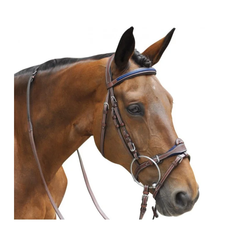 Bridon Flags&Cup Paris