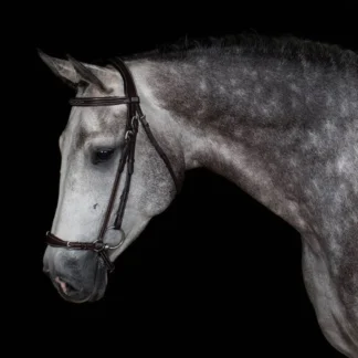 Bridon Greenfield Doha Muserolle Allemande Vachette