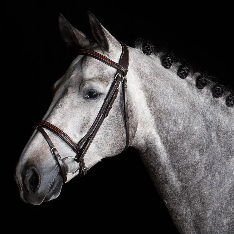 Bridon Greenfield Knokke Muserolle Combinée Laquée Veau