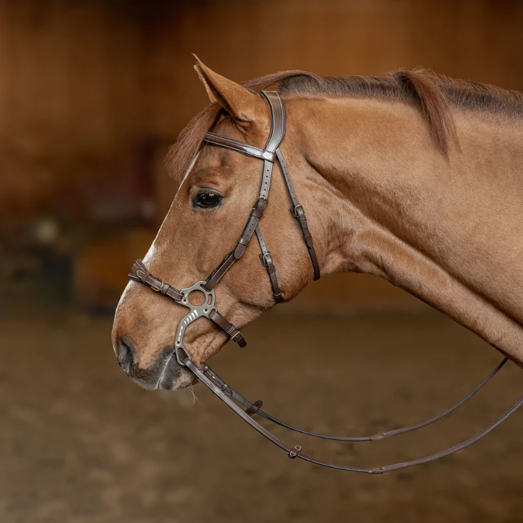 Bridon HFI Hackamore