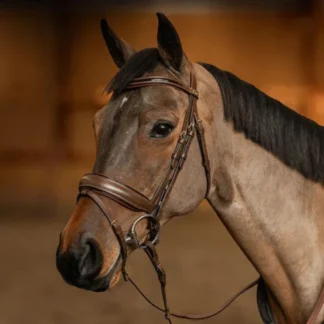 Bridon HFI Pull-Back Edges