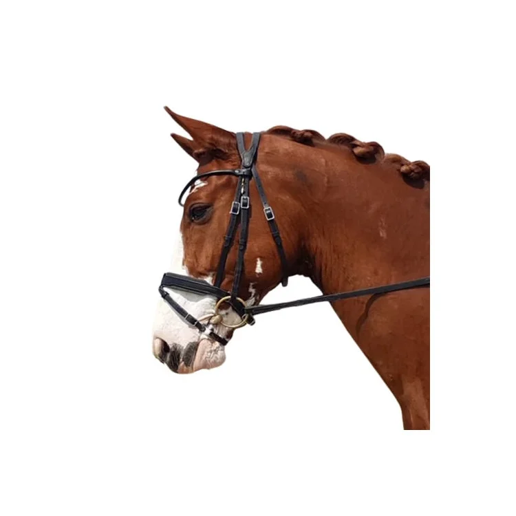 Bridon IHWT Evolution Contact Dressage Muserolle Pull-Back