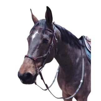 Bridon IHWT Evolution Infinity