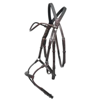 Bridon IHWT Evolution Infinity Disco