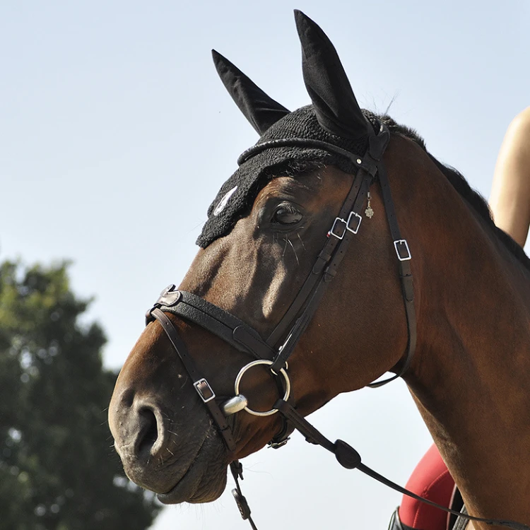 Bridon IHWT Evolution Soft T Contact Sans Strass