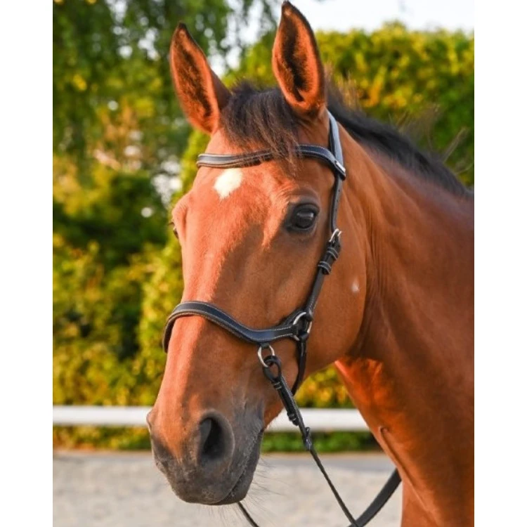 Bridon Jump'In One Bitless