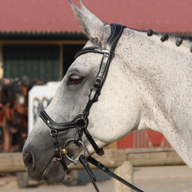 Bridon Jump'In One New York