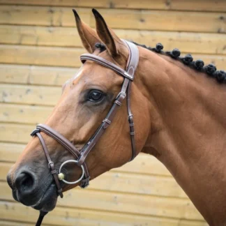 Bridon Jump'In One London