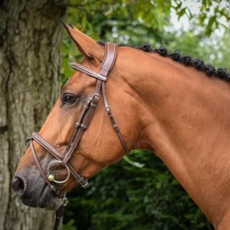 Bridon Jump'In One Paris