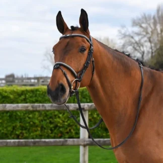 Bridon Jump'In One Premium Clincher