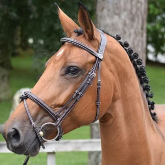 Bridon Jump'In Week Thursday