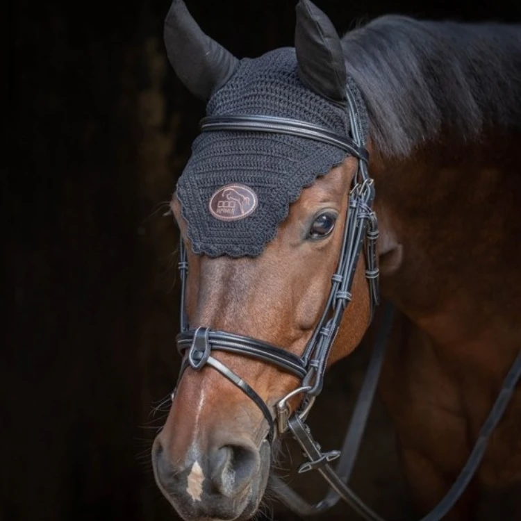 Bridon Jump'In Week Tuesday