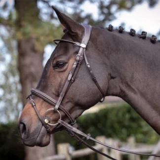 Bridon Jump'In Week Wednesday