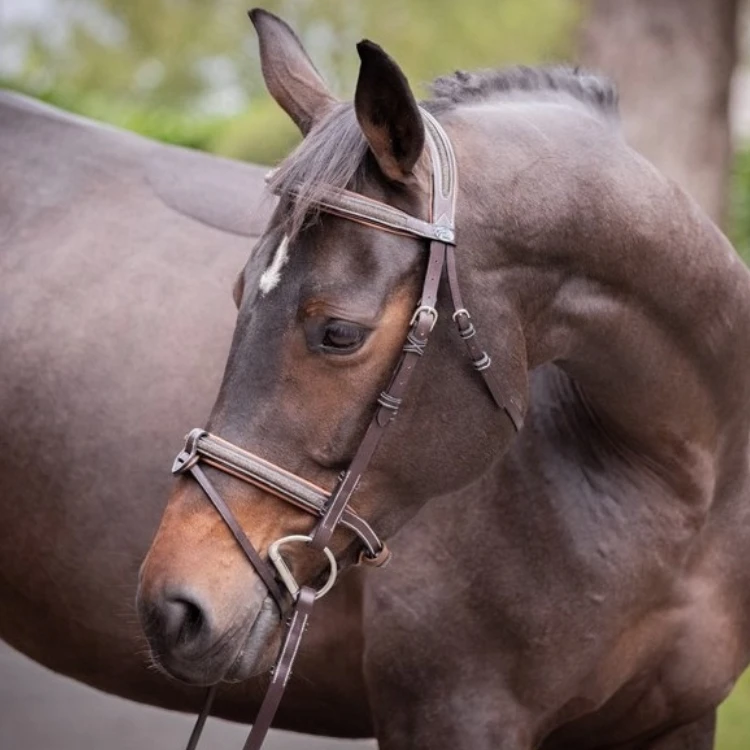 Bridon Jump'In Week Crystal