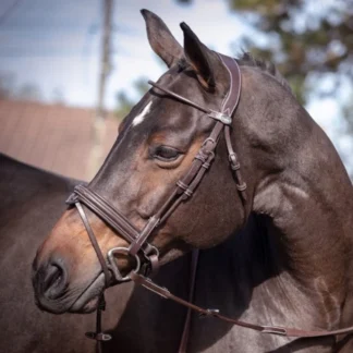 Bridon Jump'In Week Friday