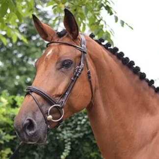 Bridon Jump'In Week Monday