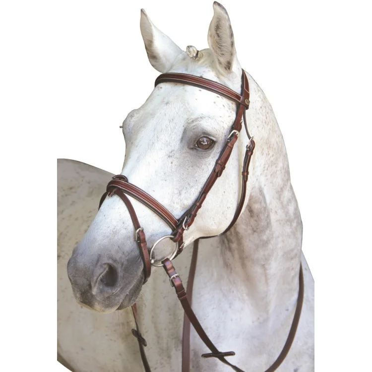 Bridon Lexington Chicago