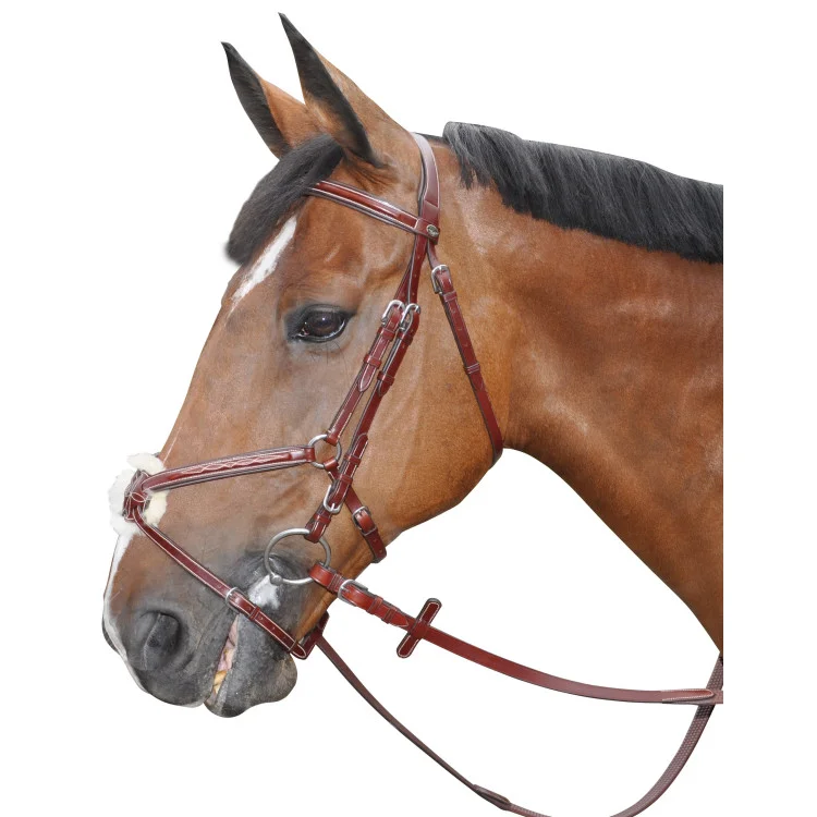 Bridon Lexington Denver croisé