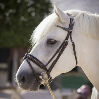 Bridon Penelope Eden