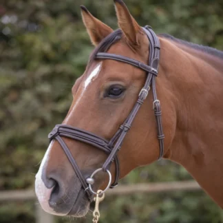 Bridon Penelope Élégance