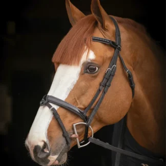 Bridon Penelope Oxford