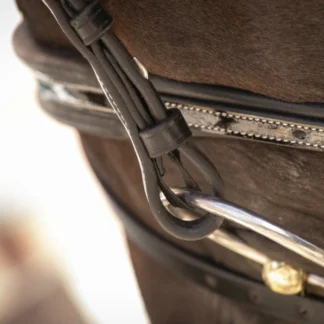 Bridon Penelope "Smoothie"