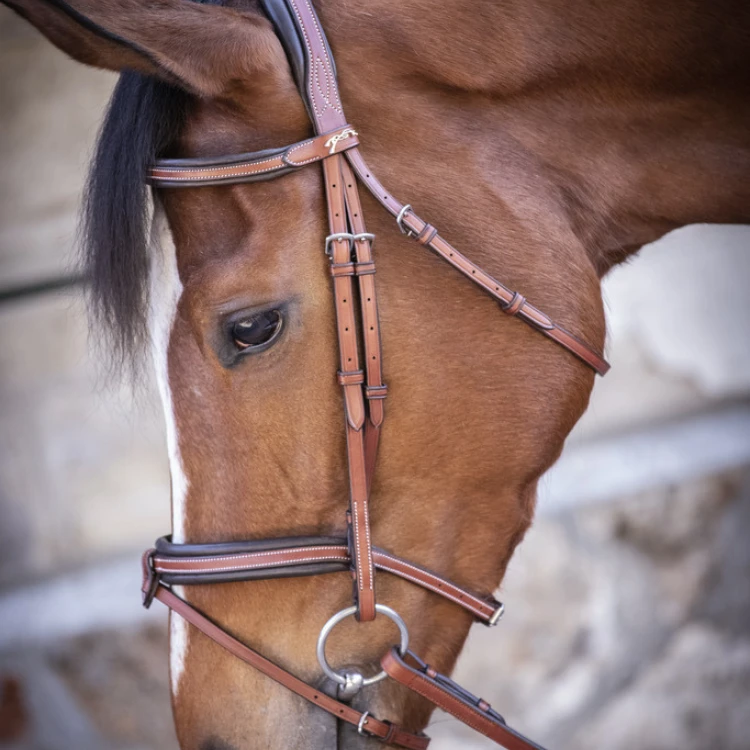 Bridon Penelope "US"